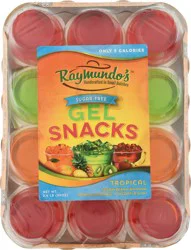 Raymundo's Sugar-Free Tropical Gel Snacks 2.4 lb Pack
