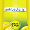 slide 7 of 29, Dial For the Kitchen Lemon & Sage Antibacterial Hand Soap, 11 oz