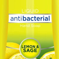 slide 25 of 29, Dial For the Kitchen Lemon & Sage Antibacterial Hand Soap, 11 oz