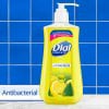 slide 29 of 29, Dial For the Kitchen Lemon & Sage Antibacterial Hand Soap, 11 oz