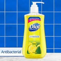 slide 12 of 29, Dial For the Kitchen Lemon & Sage Antibacterial Hand Soap, 11 oz