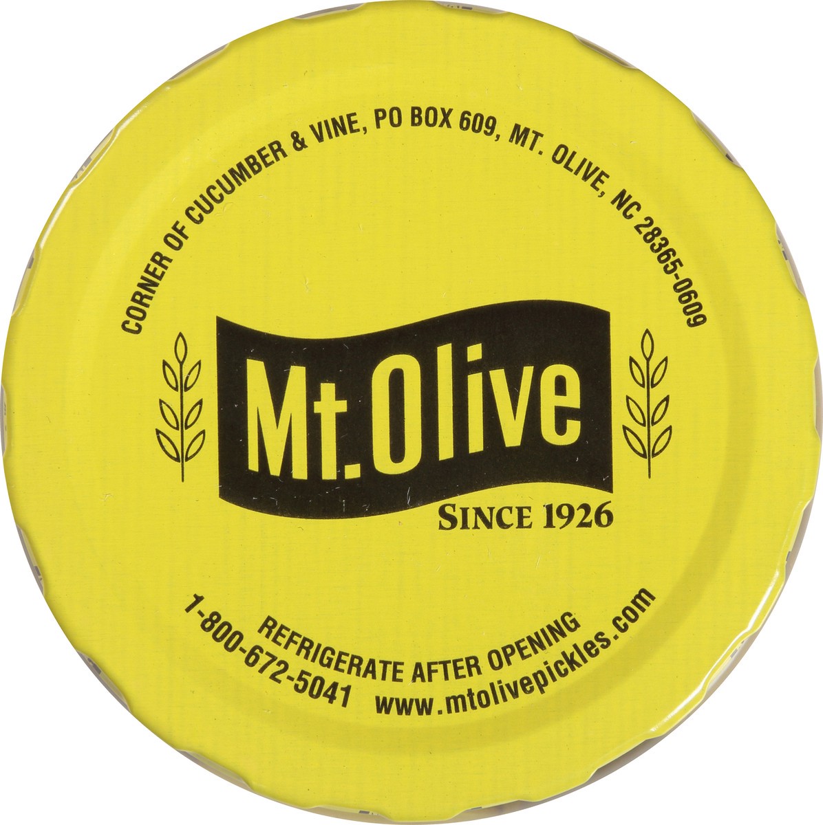 slide 2 of 9, Mt. Olive Munchies Bread & Butter Pickles, 16 fl oz