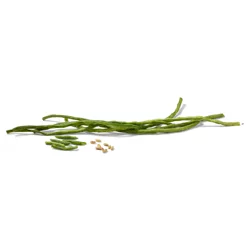 Produce Long Beans 1 ea