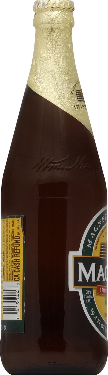 slide 3 of 4, Magners Irish Cider 19.2 oz, 19.2 oz