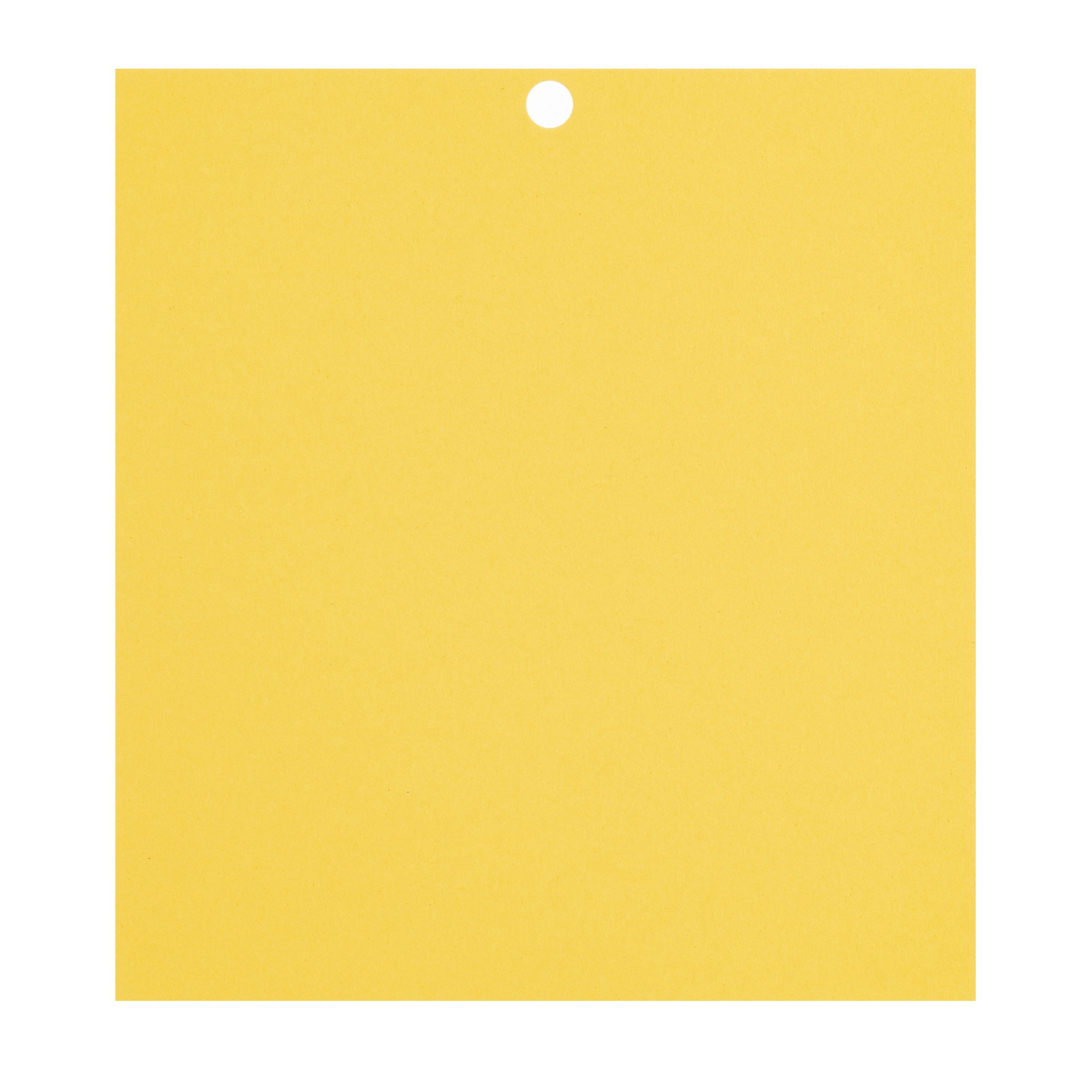 slide 7 of 8, Citrus 6" X 6.5" Cardstock Paper By Recollections, 100 Sheets, 6 in x 6.5 in