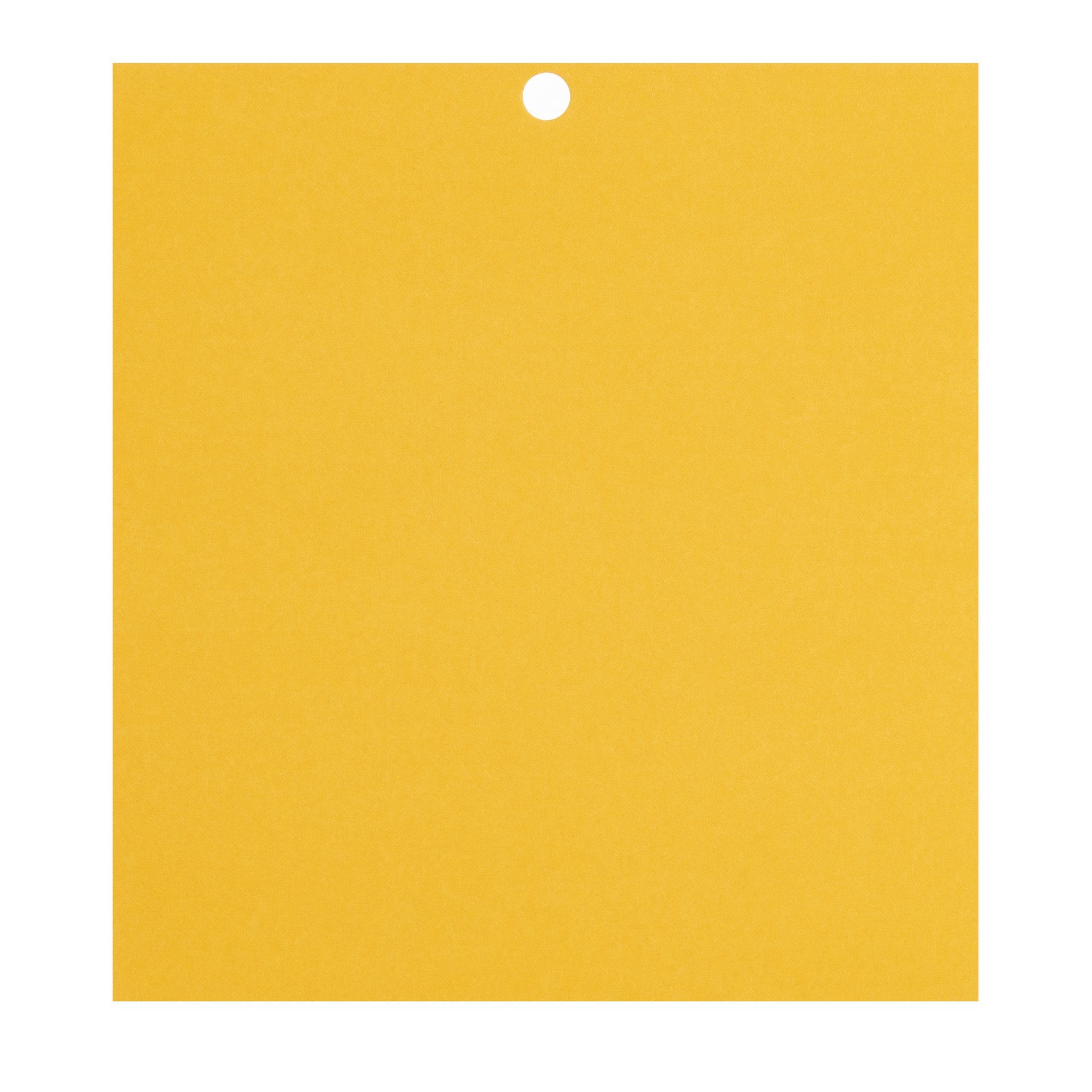 slide 6 of 8, Citrus 6" X 6.5" Cardstock Paper By Recollections, 100 Sheets, 6 in x 6.5 in