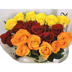 Rose 18 Stem Tricolor Cb - EA