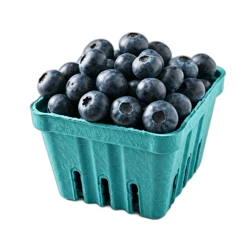 Driscoll's Blueberries