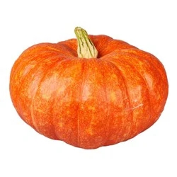 H-E-B Texas Roots Large Cinderella Pumpkin