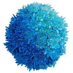 Ombre Poms 15st - EA