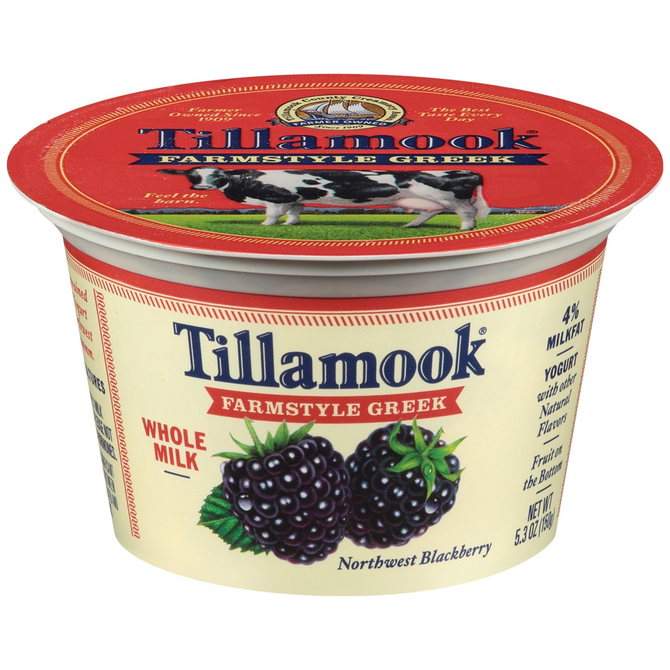 slide 1 of 1, Tillamook Oregon Blueberry Farmstyle Greek Yogurt, 1 ct