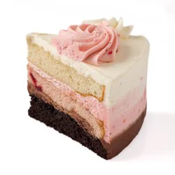 KWL Neapolitan Cake Slice