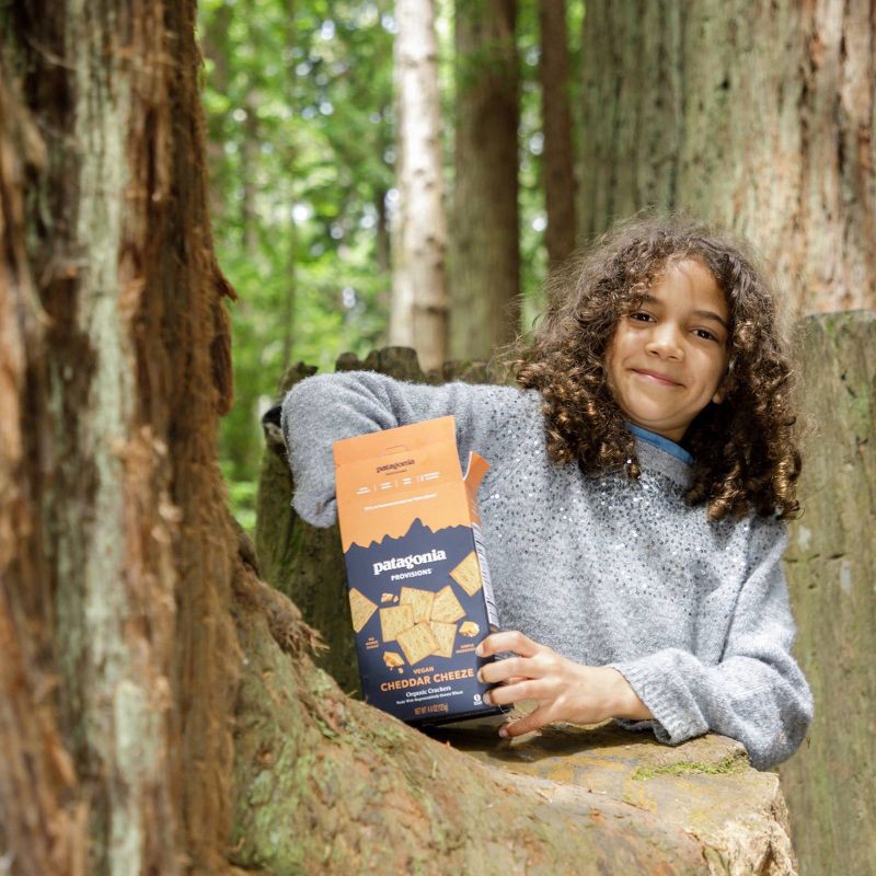 slide 5 of 8, Patagonia Provisions Organic Toasted Cheeze Crackers 4.4 oz, 4.4 oz