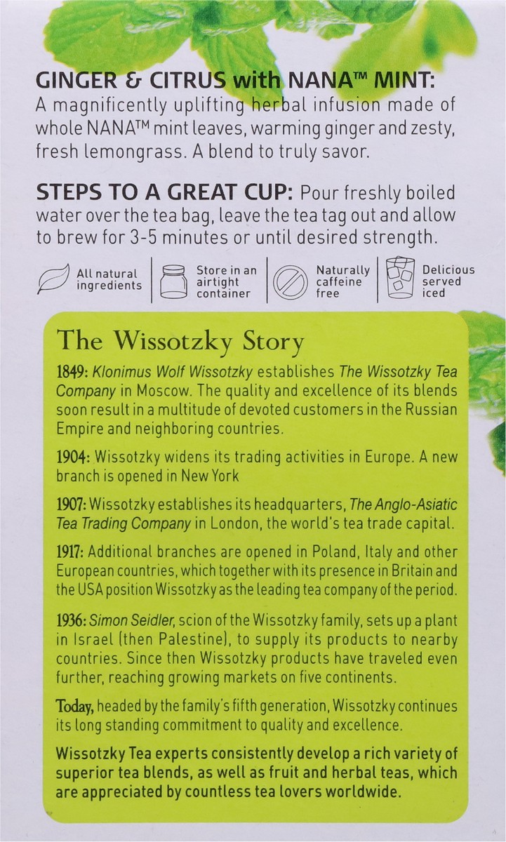 slide 6 of 9, Wissotzky Tea Tea Bags Ginger & Citrus with Nana Mint Herbal Tea - 20 ct, 20 ct