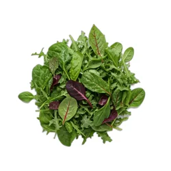 Spring Mix Faust Farms