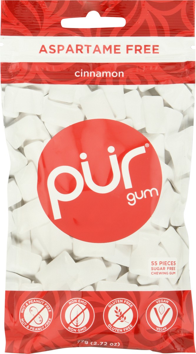 slide 1 of 1, PUR Aspartame Free Cinnamon Sugar Free Chewing Gum 55 ea, 55 ct