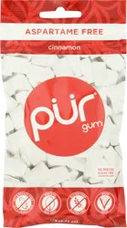 Pur Aspartame Free Cinnamon Sugar Free Chewing Gum 55 ea
