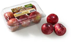 Plumcot Sierra Honey 1#