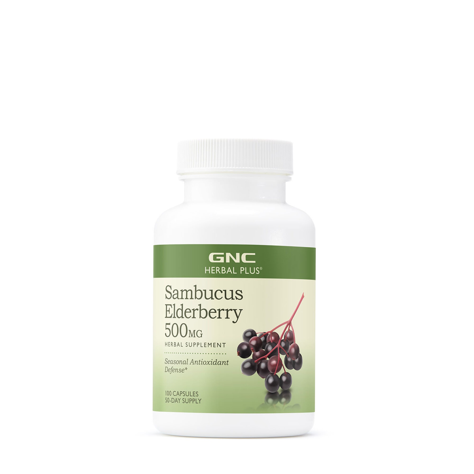 slide 1 of 1, GNC Herbal Plus Sambucus Elderberry 500mg, 100 ct