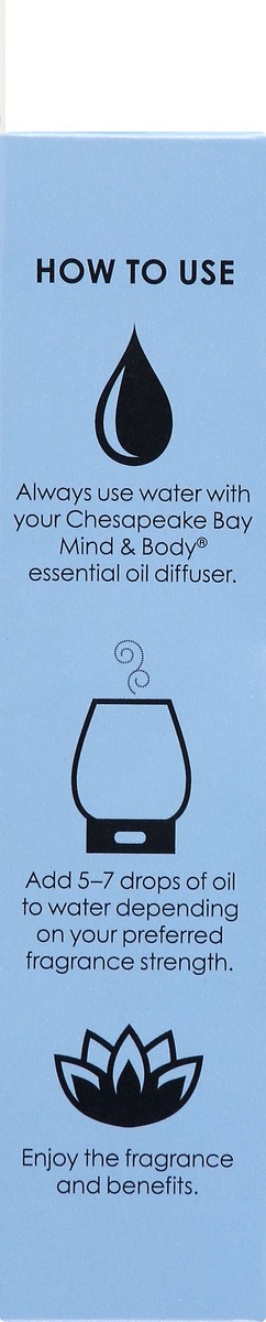 slide 7 of 9, Chesapeake Bay Candle Chesapeake Bay Essential Oil Relax, 0.33 oz