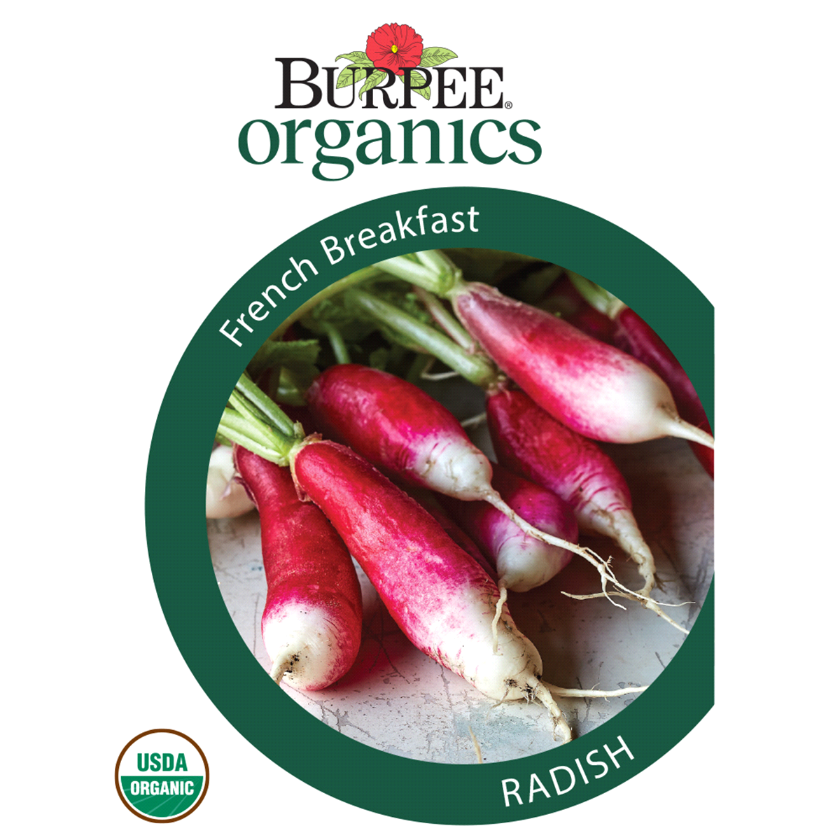 slide 1 of 5, Burpee Organic Radish French Breakfast Seeds, 1 ct