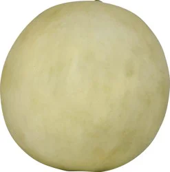 Fresh Orange Flesh Honeydew