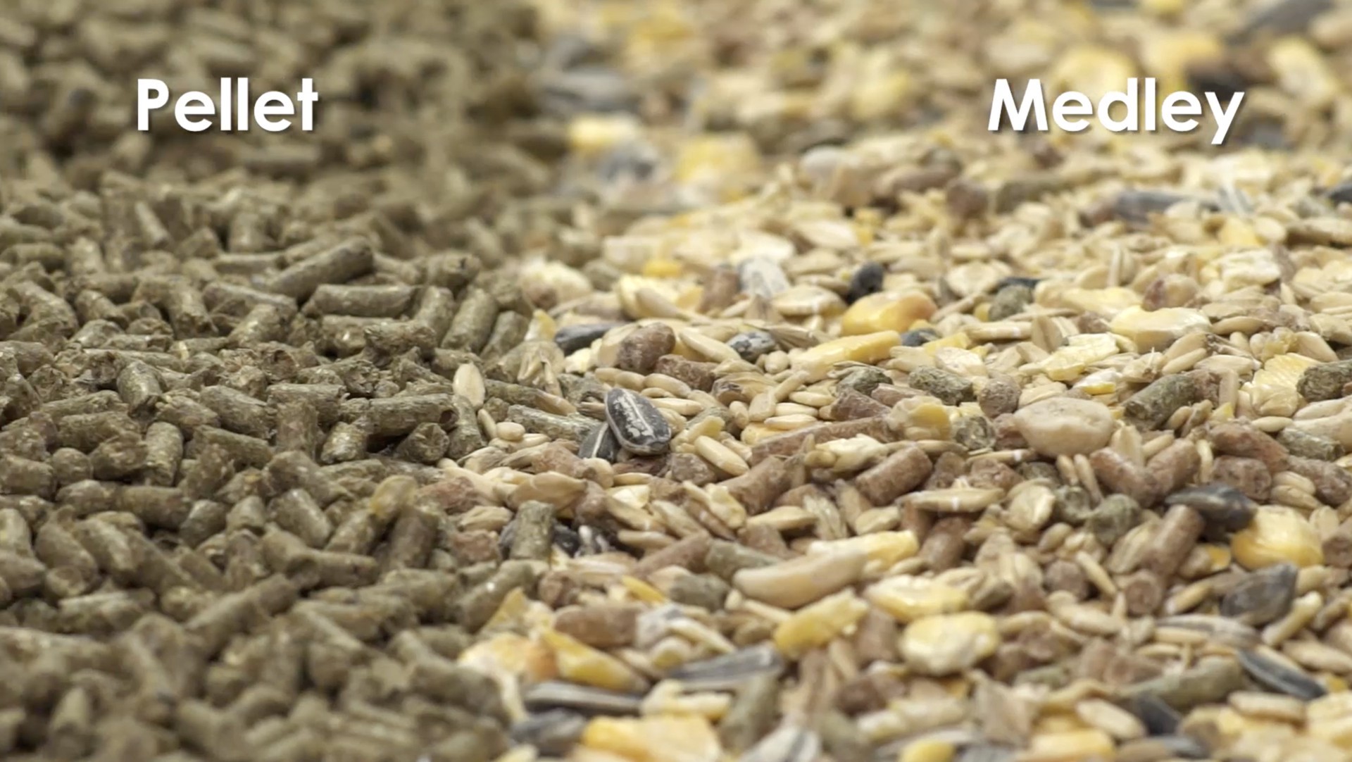 slide 5 of 7, Kaytee Supreme Hamster and Gerbil Food 2 lb, 2 lb