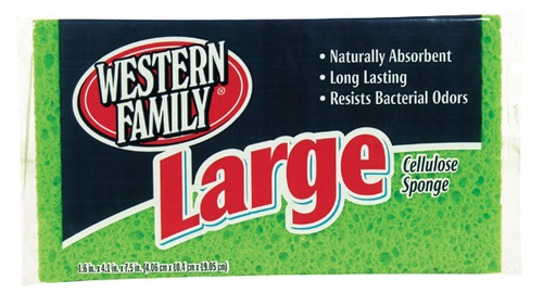 slide 1 of 1, Western Family Large Sponge, 1 ct