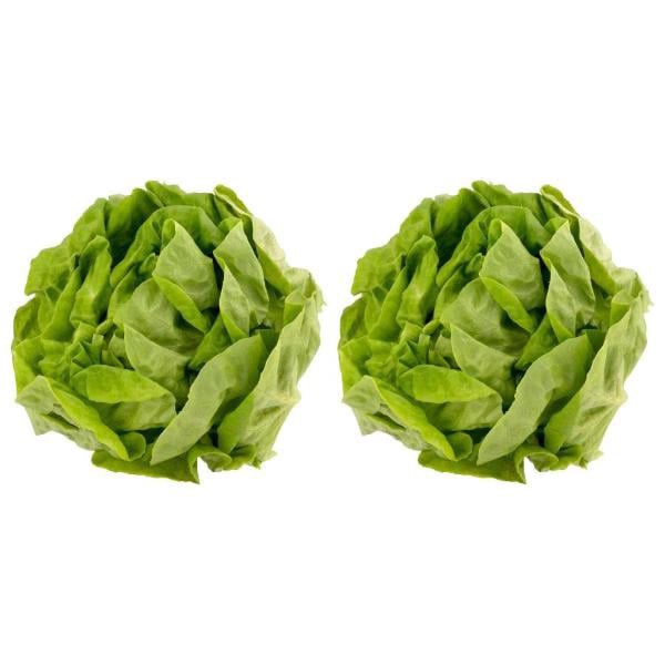slide 1 of 1, Hydroponic Lettuce, 2 ct