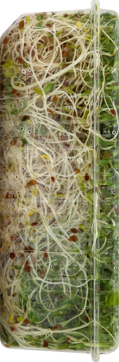 slide 2 of 4, Country Fresh Broccoli Sprouts, 4 oz