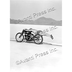 Avanti Card