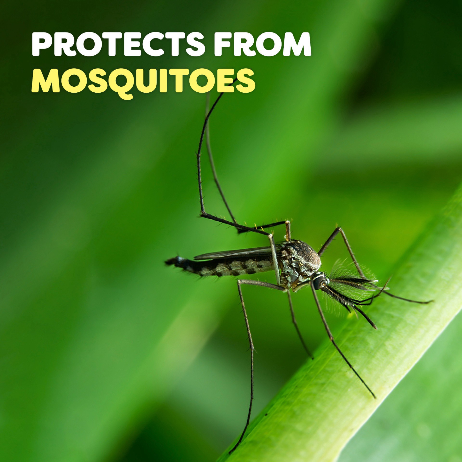 slide 6 of 10, OFF! Active Insect Repellent I, Sweat Resistant Mosquito Spray with DEET, 6 oz, 6 oz