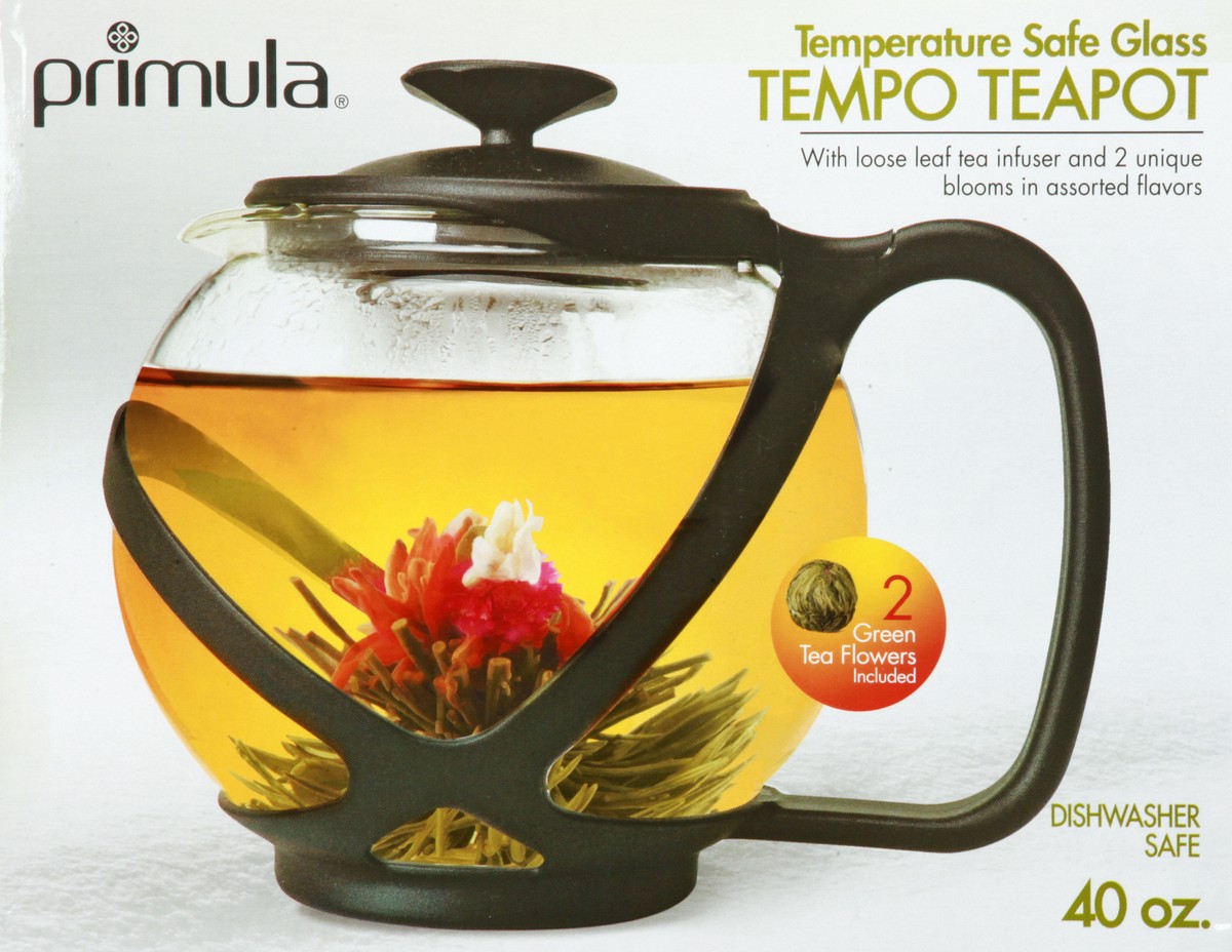 slide 5 of 9, Primula 40 Ounce Tempo Glass Teapot 1 ea, 1 ct