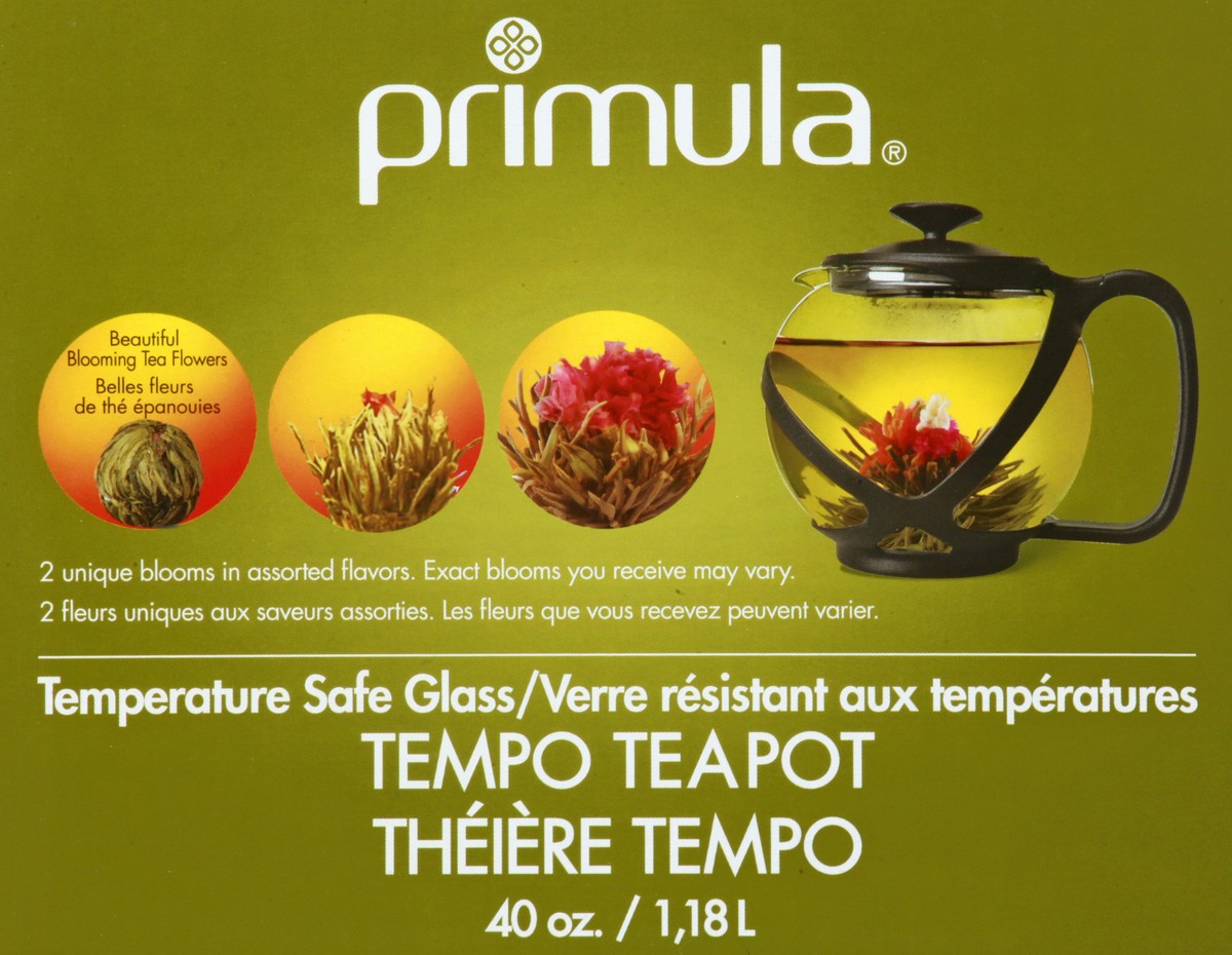 slide 7 of 9, Primula 40 Ounce Tempo Glass Teapot 1 ea, 1 ct
