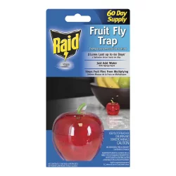 Raid Fruit Fly Trap
