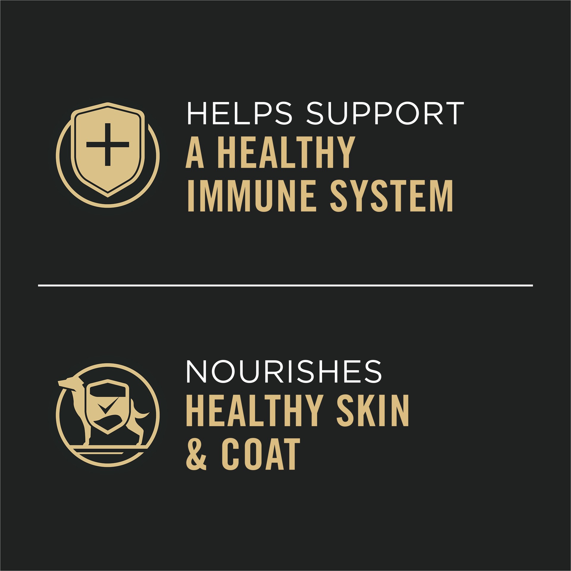 slide 3 of 8, Purina Pro Plan Gravy Wet Dog Food for Large Dogs, Large Breed, Chicken and Rice Entrée, 13 oz