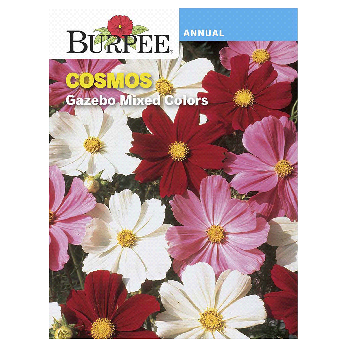 slide 1 of 5, Burpee Gazebo Mix Cosmos Seeds, 1 ct