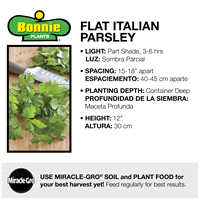 slide 7 of 9, Bonnie Plants  Parsley Italian Flat, 19.3 oz