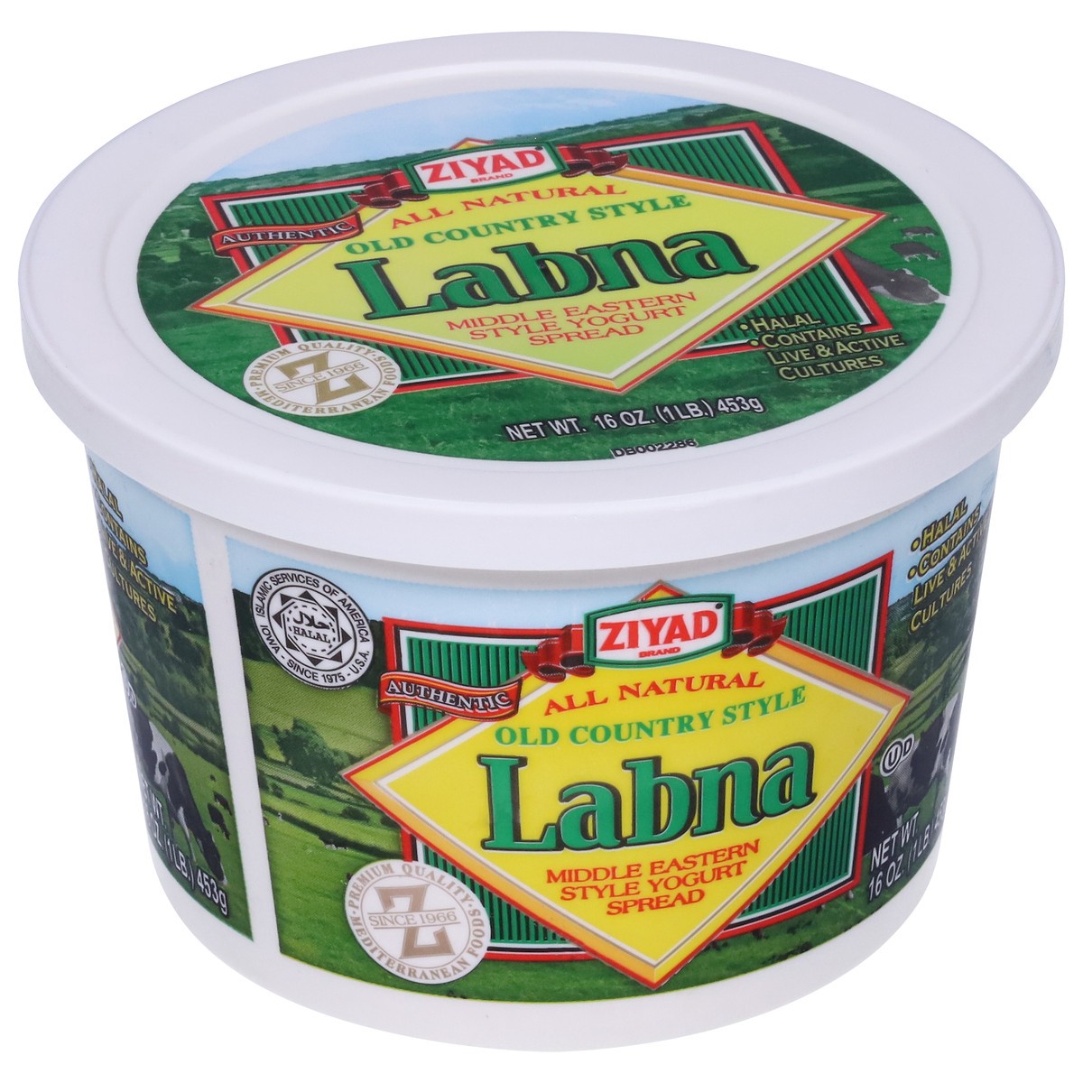 slide 6 of 9, Ziyad Old Country Style Labna Yogurt Spread 16 oz, 16 oz