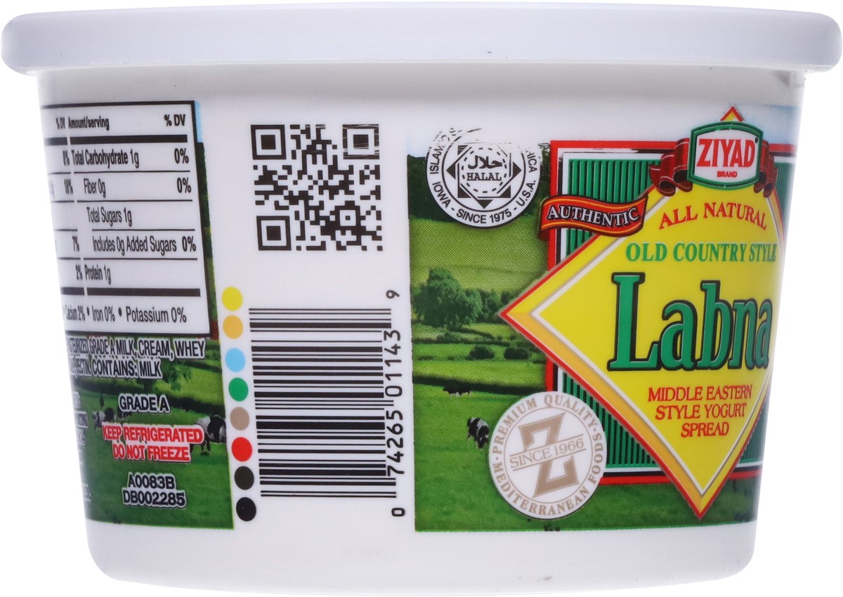 slide 9 of 9, Ziyad Old Country Style Labna Yogurt Spread 16 oz, 16 oz