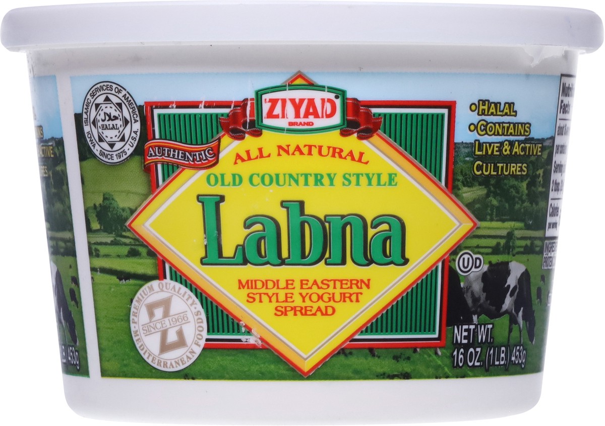 slide 8 of 9, Ziyad Old Country Style Labna Yogurt Spread 16 oz, 16 oz