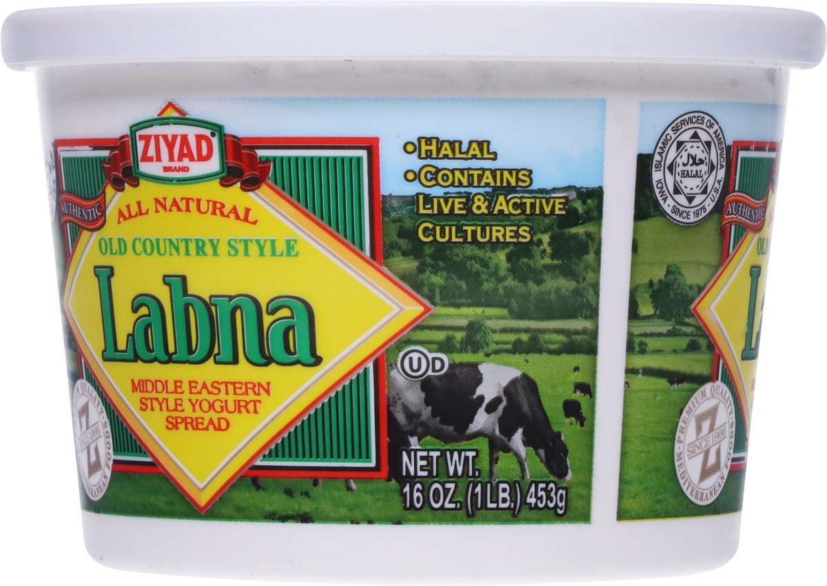 slide 5 of 9, Ziyad Old Country Style Labna Yogurt Spread 16 oz, 16 oz