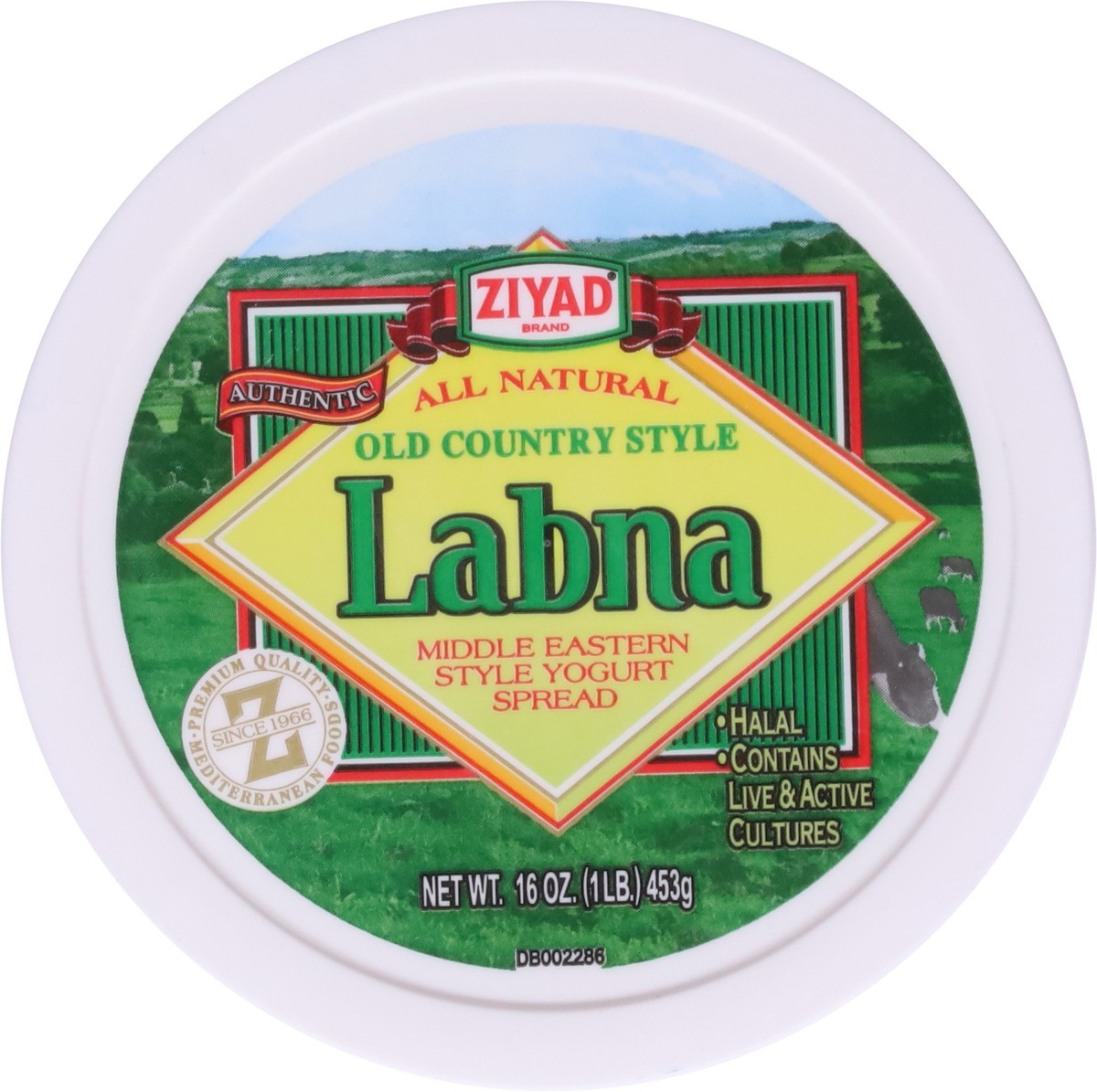 slide 2 of 9, Ziyad Old Country Style Labna Yogurt Spread 16 oz, 16 oz