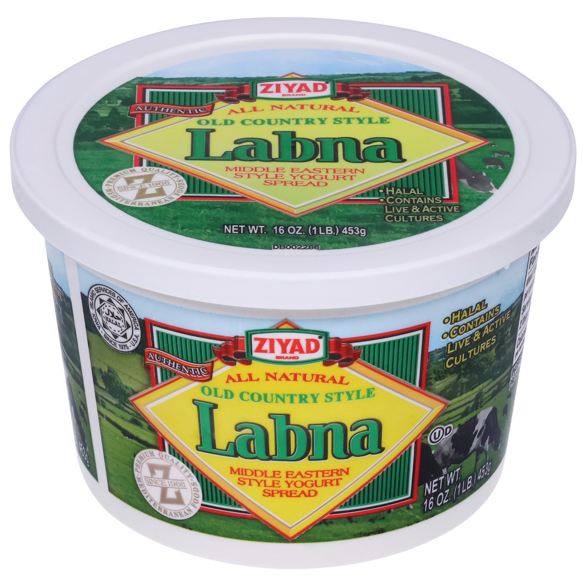 slide 1 of 9, Ziyad Old Country Style Labna Yogurt Spread 16 oz, 16 oz
