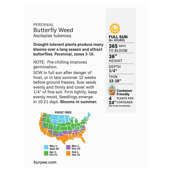 slide 3 of 5, Burpee Butterfly Weed Asclepias Tuberosa Seeds, 1 ct