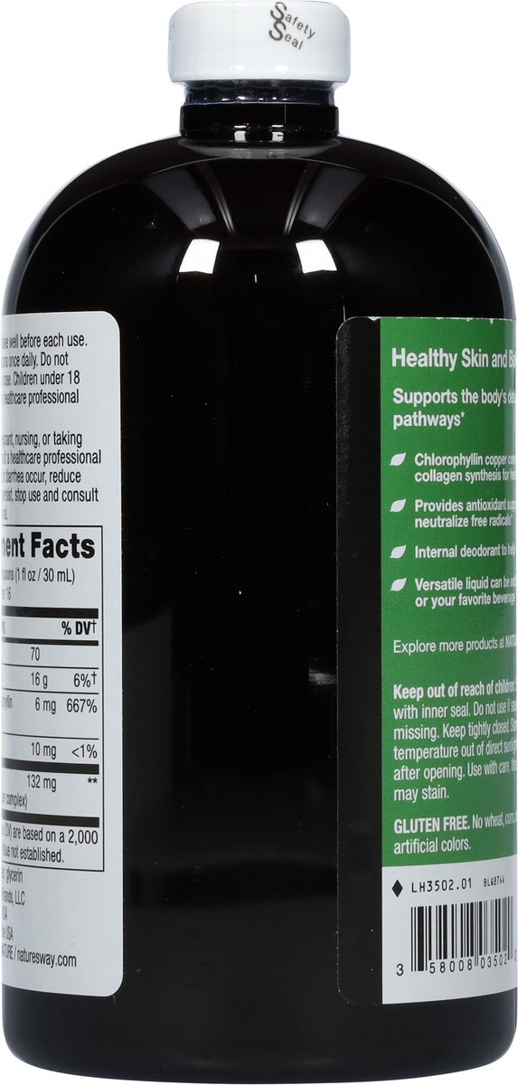 slide 2 of 9, Nature's Way Chlorofresh Unflavored Liquid Chlorophyll 16 fl oz, 16 fl oz