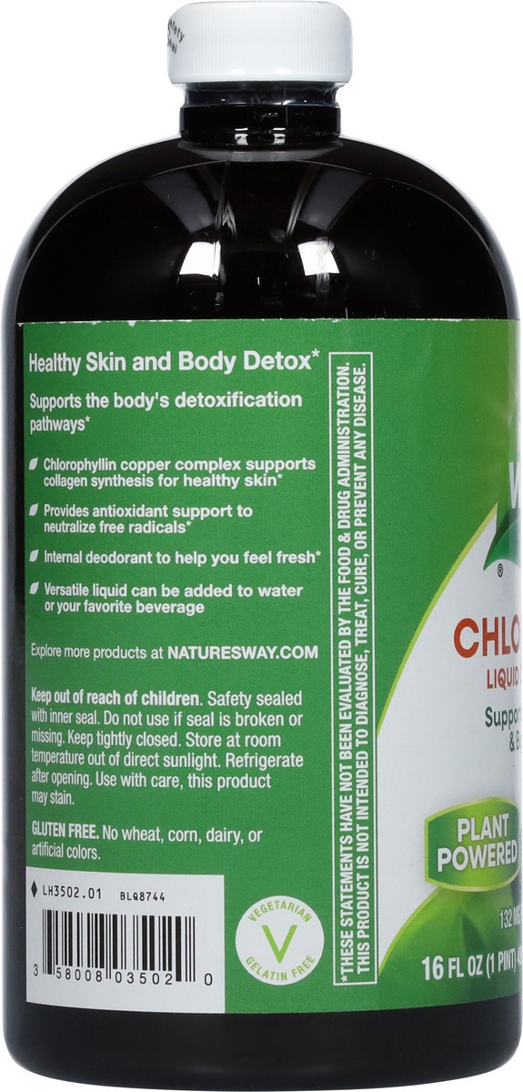 slide 8 of 9, Nature's Way Chlorofresh Unflavored Liquid Chlorophyll 16 fl oz, 16 fl oz