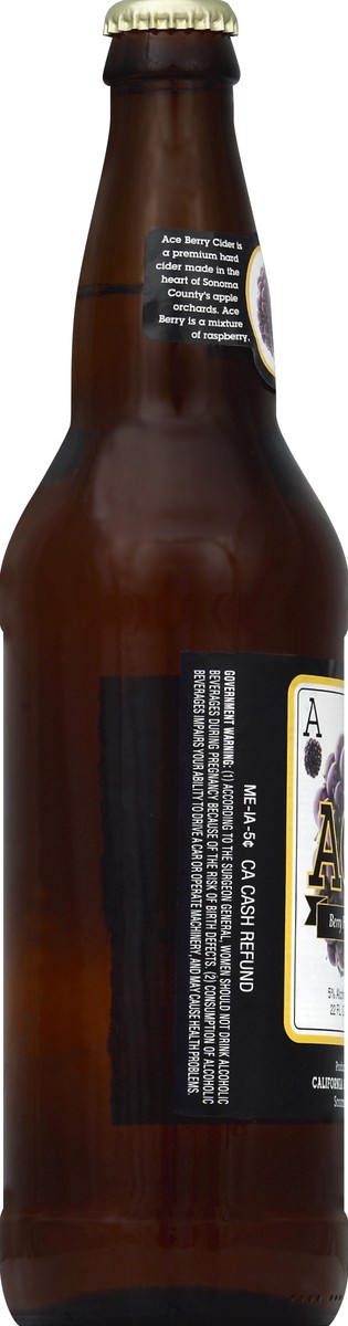 slide 3 of 4, ACE Hard Cider 22 oz, 22 oz btl