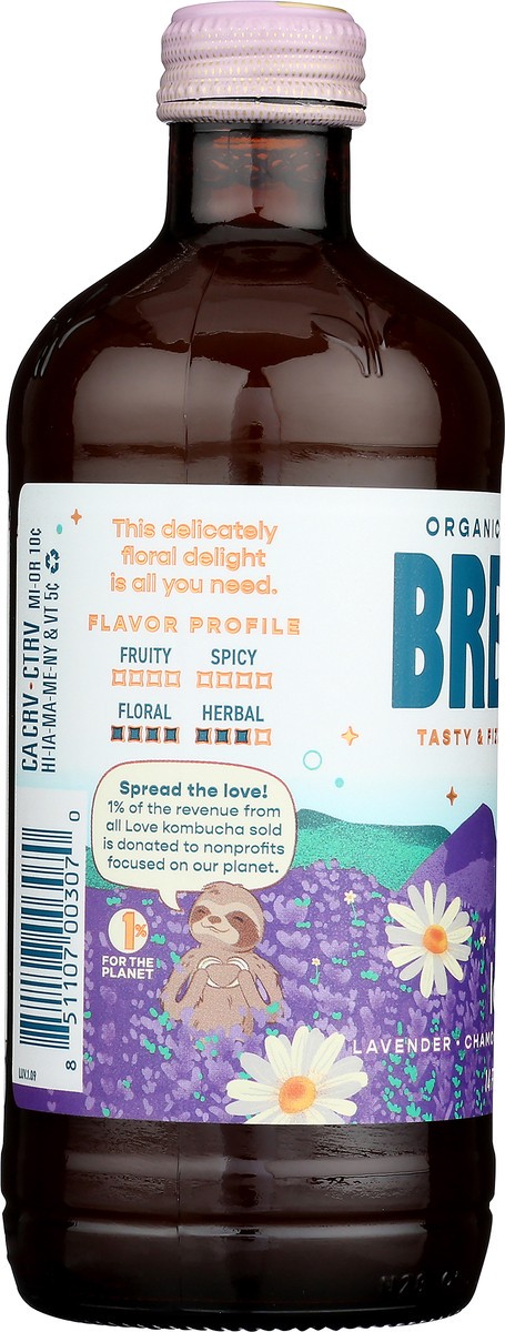 slide 9 of 9, Brew Dr. Brew Dr Kombucha Love - 14 fl oz, 14 fl oz