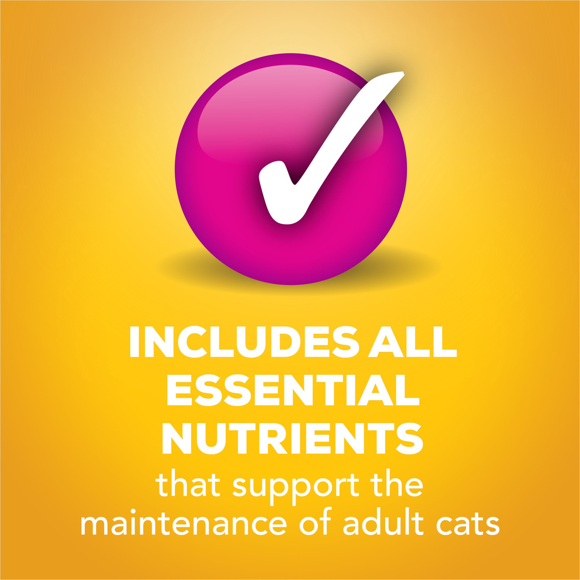 slide 5 of 8, Friskies Purina Friskies Gravy Wet Cat Food Variety Pack, Tasty Treasures Prime Filets - (24) 5.5 oz. Cans, 8.25 lb